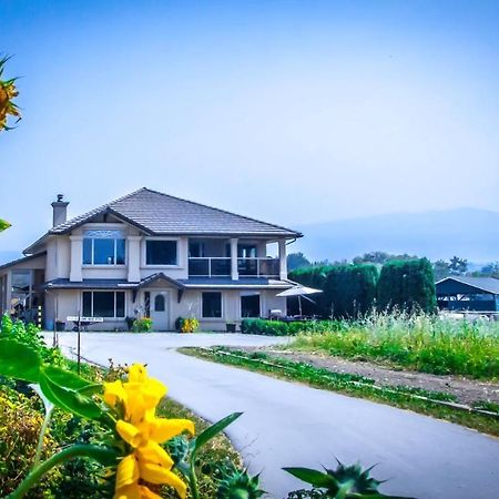 四季住宿加早餐旅馆 基洛纳 外观 照片